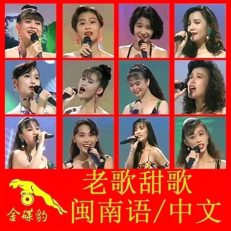 图片[2]-256mb【136首mp3】十二大美女歌曲U盘闽南语台语车载优U盘经典老歌花仙子全视频-资源分享