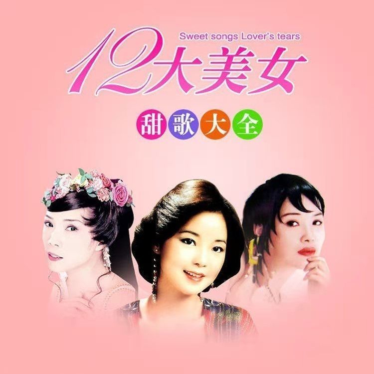 图片[3]-256mb【136首mp3】十二大美女歌曲U盘闽南语台语车载优U盘经典老歌花仙子全视频-资源分享